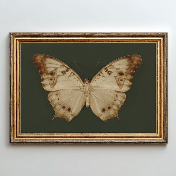 Vintage Butterfly, Moody Botanical Natural History