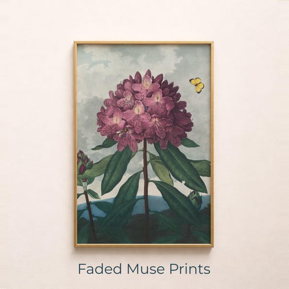 Rhododendron Blossom Vintage Botanical Watercolor Art Print