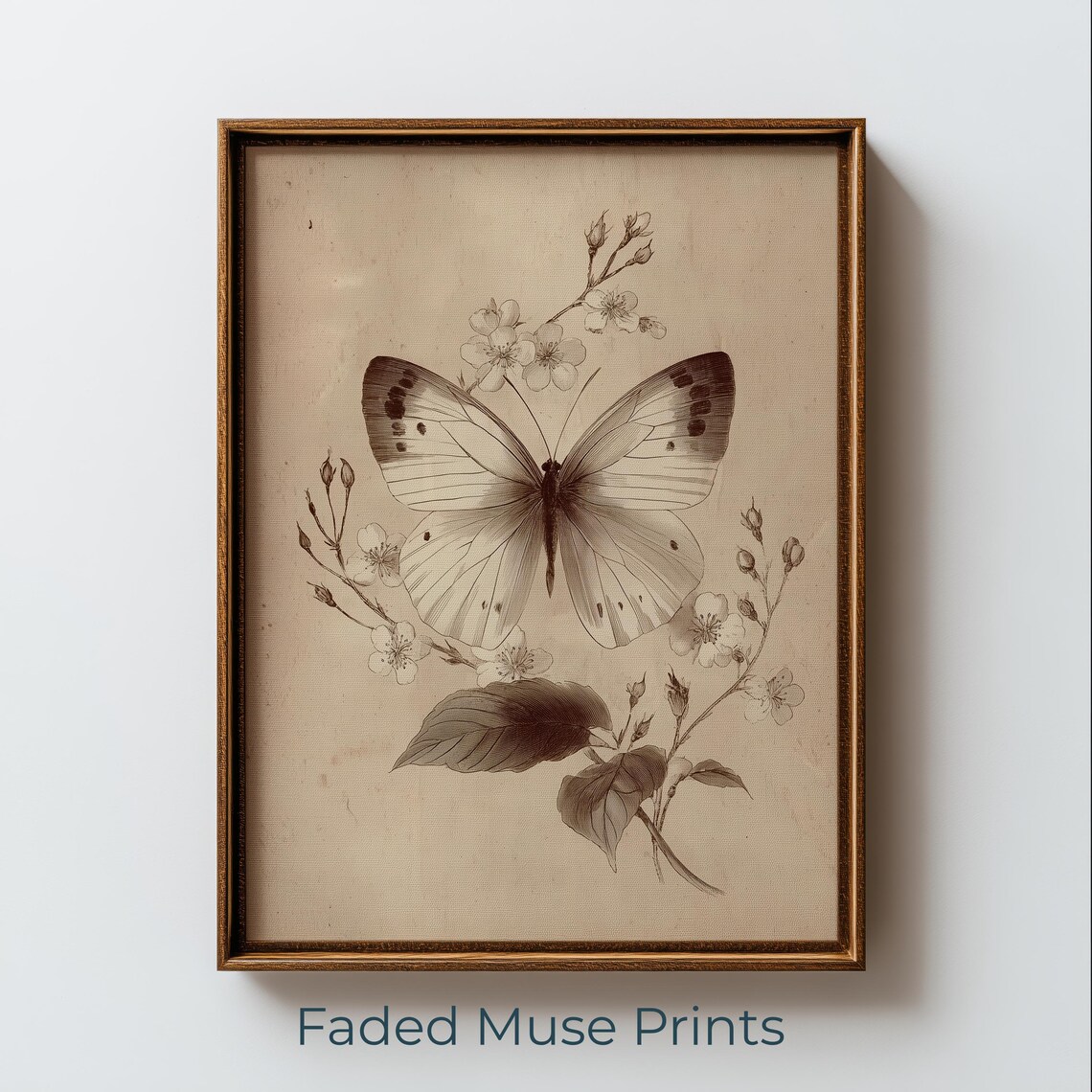 Vintage Butterfly Botanical Illustration, Sepia Rustic