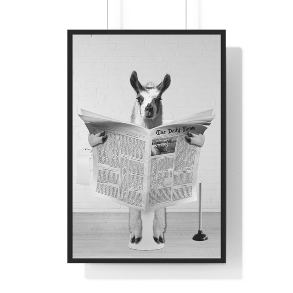 Llama Reading The Daily News on Toilet Whimsy Bathroom Poster
