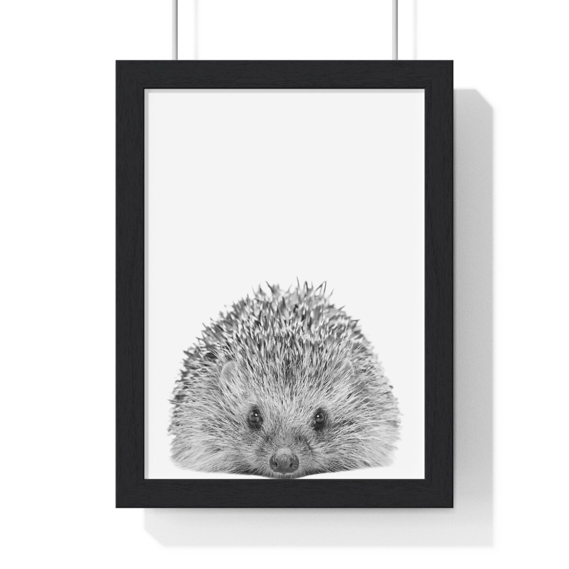 Baby Hedgehog Curled Up Portrait Black and White Nursery Poster - Image 2