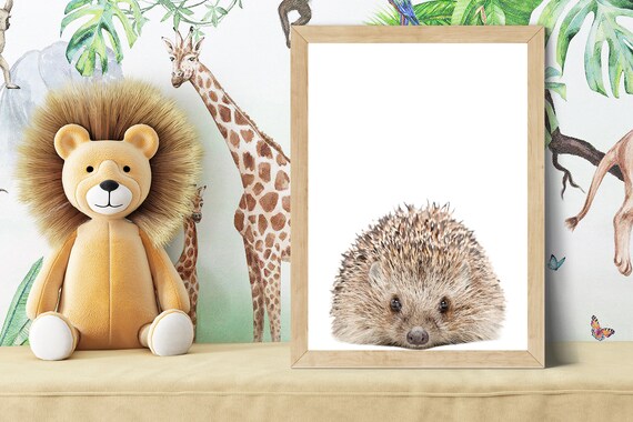 Baby Hedgehog Curled Up Portrait in Soft Color Nursery Poster