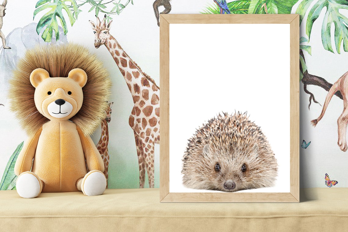 Baby Hedgehog Curled Up Portrait in Soft Color Nursery Poster