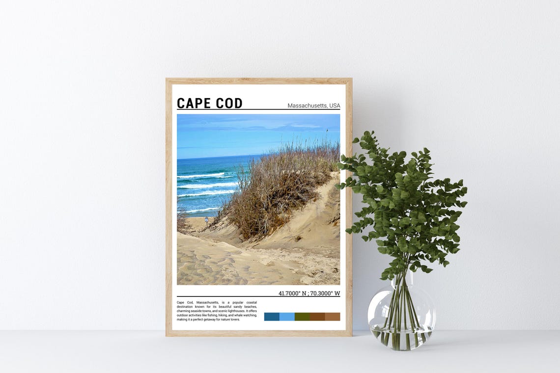 Cape Cod Massachusetts Sandy Dune Beach Grass Coastal Scene Poster - Image 4