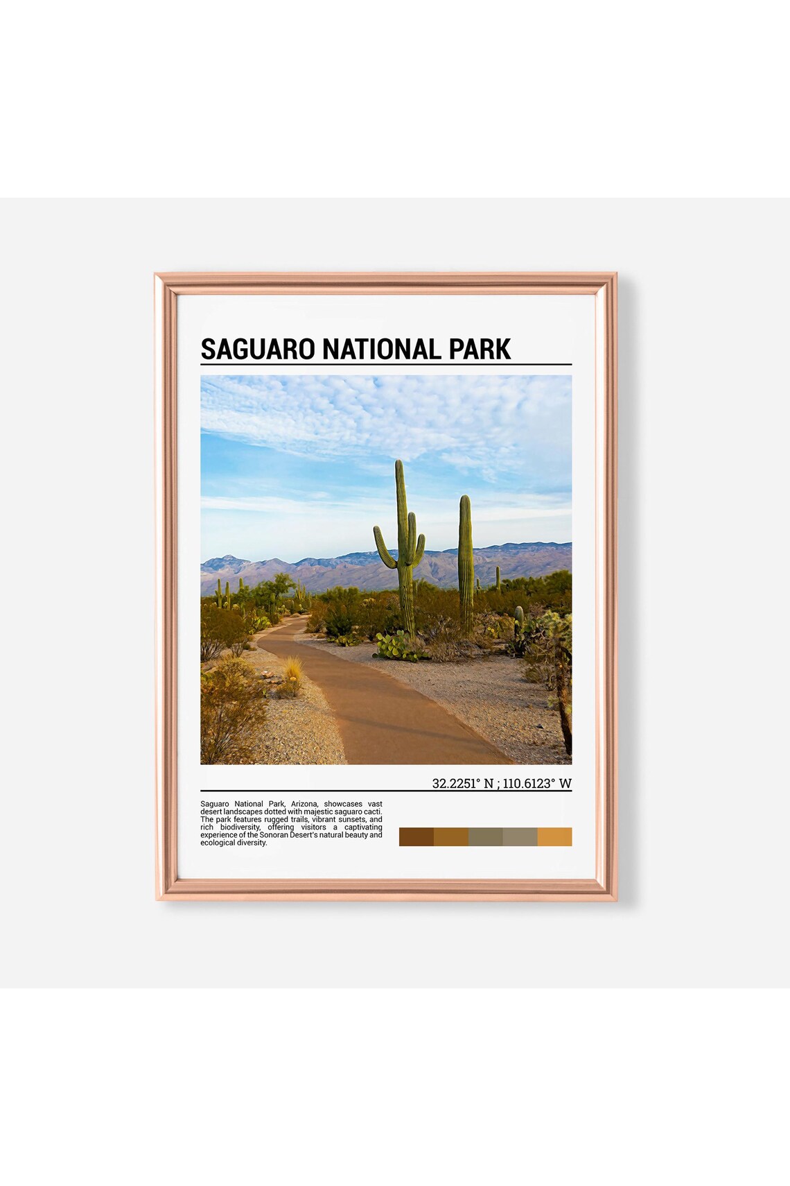 Saguaro National Park Giant Cactus Desert Trail Scene Poster