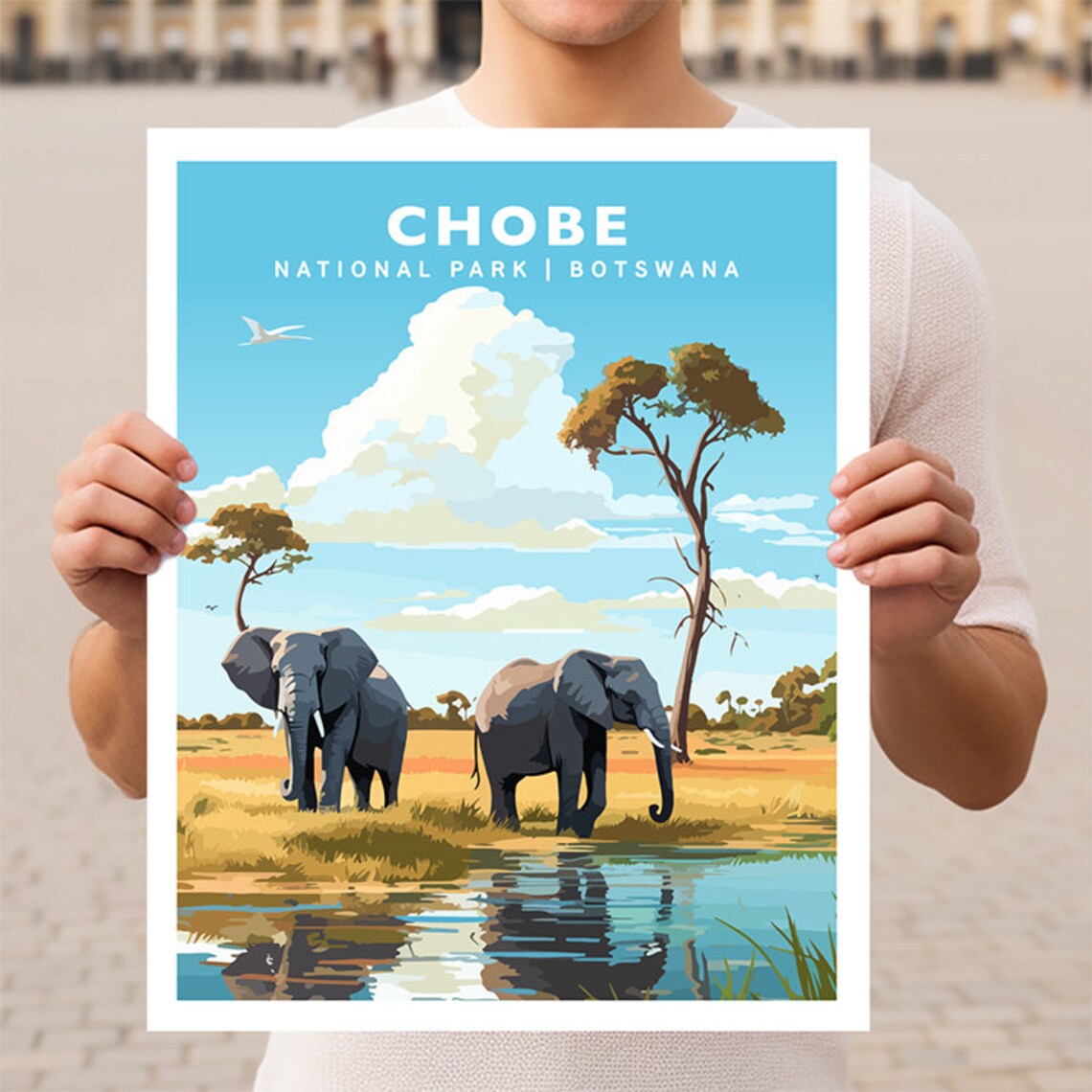 Chobe National Park Botswana Travel Poster
