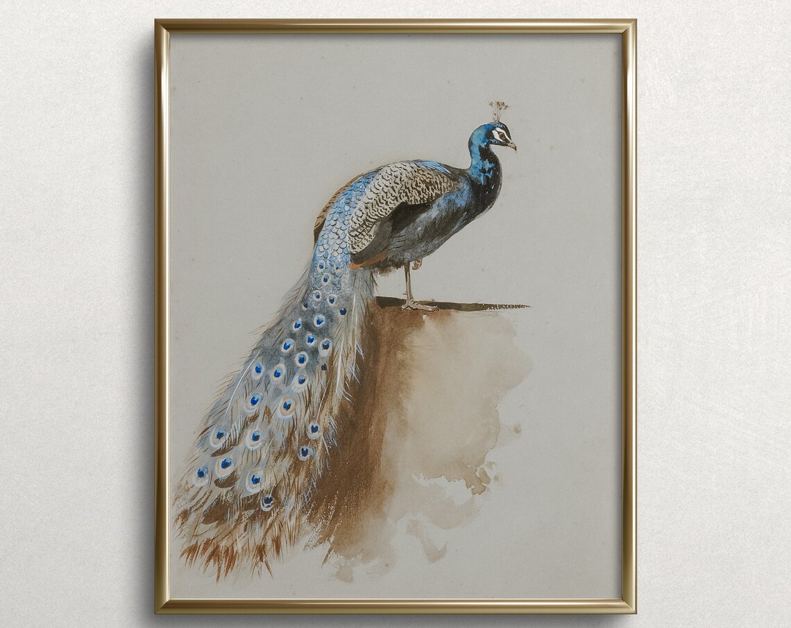 Pastel Peacock Vintage Eclectic Bird Art Print