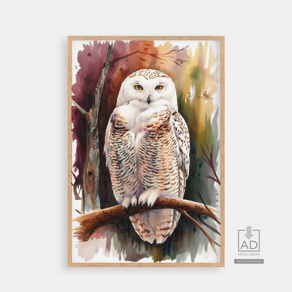 Snowy Owl Art Print Wildlife Wall Decor Animal Illustration Poster Nursery Room Artwork Nature Bird