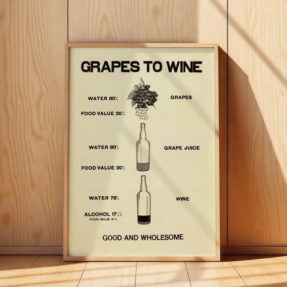 Grapes To Wine Vintage Infographic Wine Diagram Humor Poster
