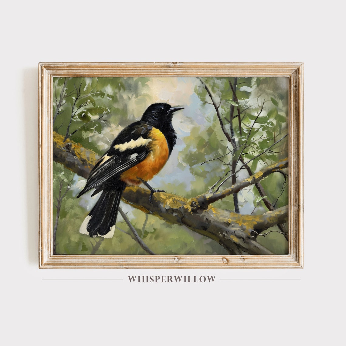 Black and Orange Songbird Perched on Branch Vintage Painting Poster
