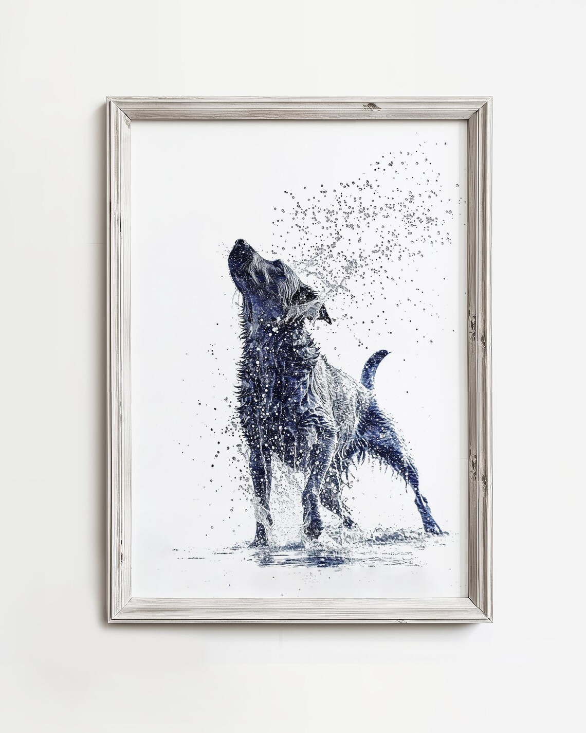 Wet Labrador Dog Shakes Summertime Art Print