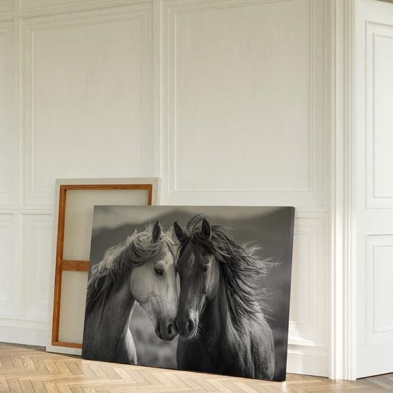 Wild Horses Black And White Wall Art Intimate Equine Photography For Rustic Western Home Decor