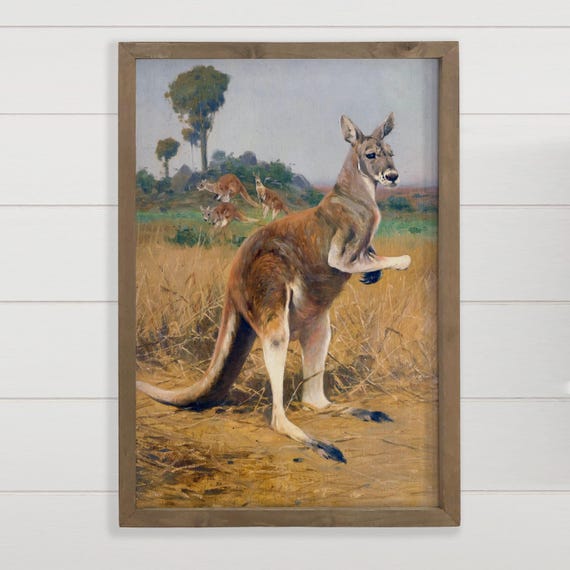 Australian Wall Decor Outback Kangaroos Wildlife Canvas Art Wood Framed