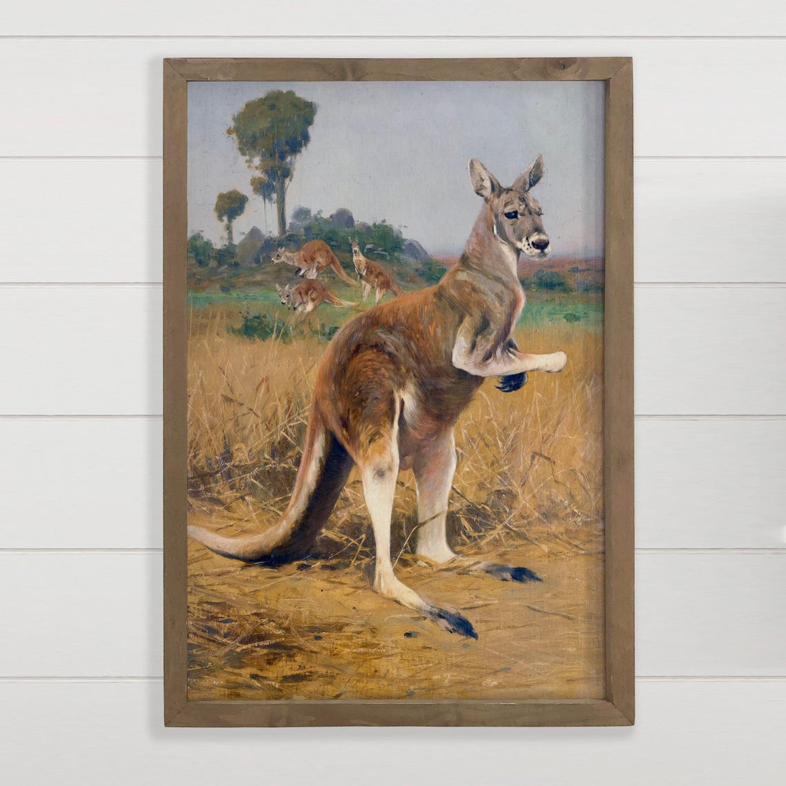 Kangaroos In The Australian Outback Vintage Wildlife Art Print