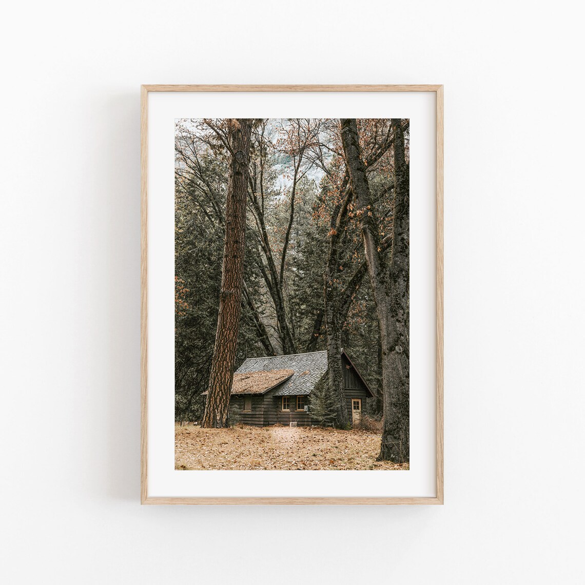 Fog Tree Forest Nature Art Print, Cabin Decor