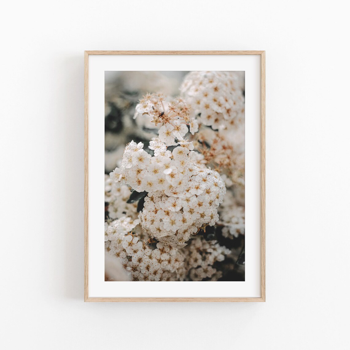 Flowers Botanical Wall Art, Living Room Print Decor