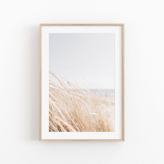 Pampas Grass Botanical Farmhouse Art Print