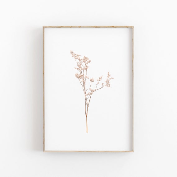 Botanical Art Print, Kitchen Herbs Wall Art