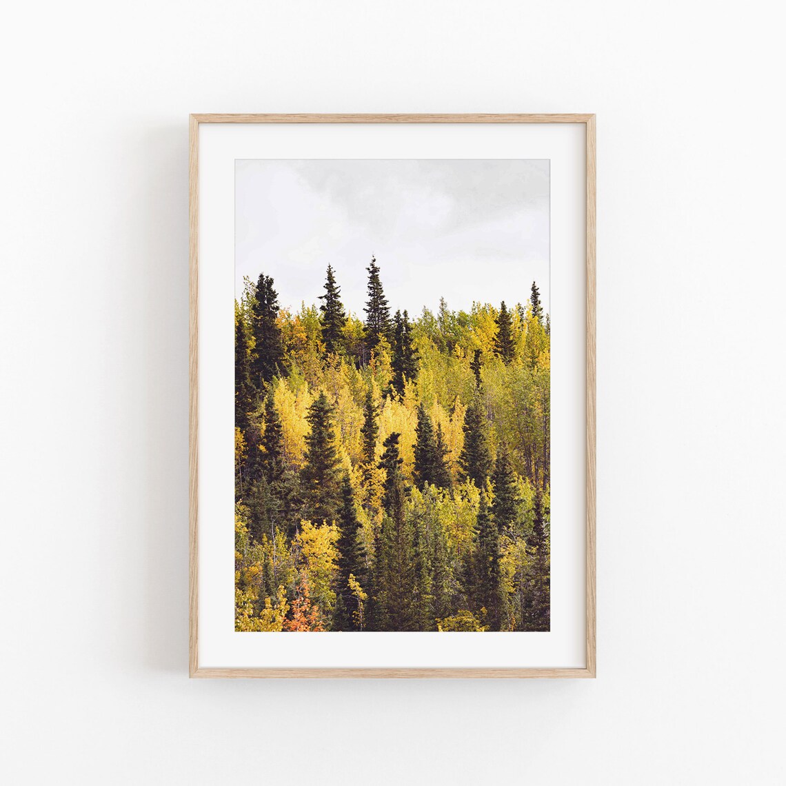 Rustic Autumn Forest Art Print, Foggy Trees