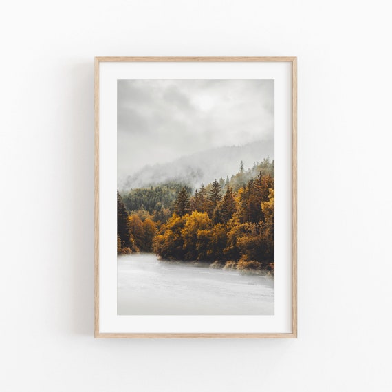 Rustic Autumn Forest Art Print, Fog Tree Landscape