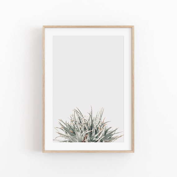 Aloe Print, Modern Minimalist Art Poster