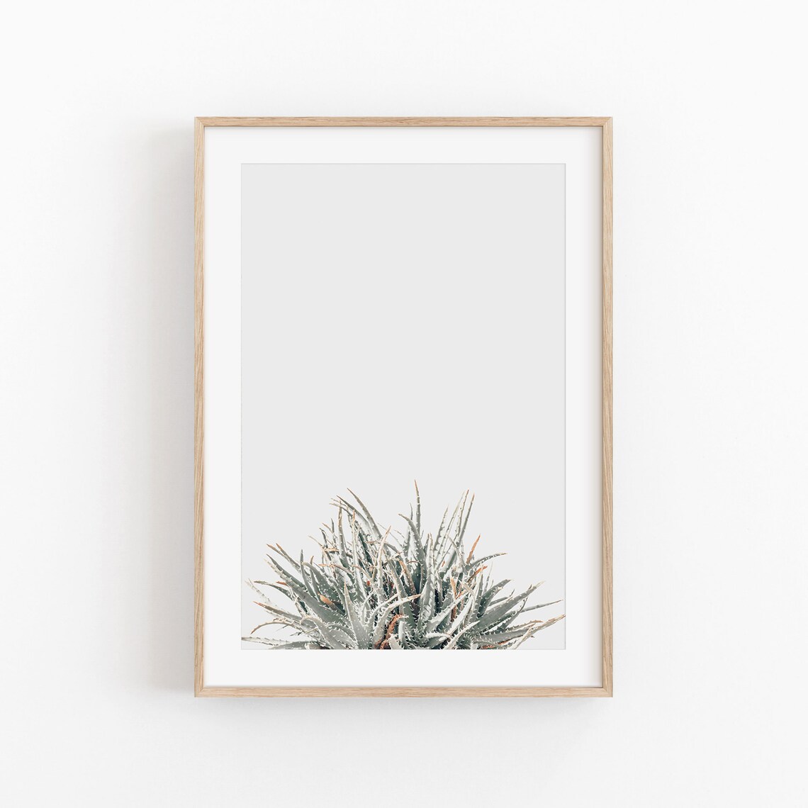 Aloe Print, Modern Minimalist Art Poster