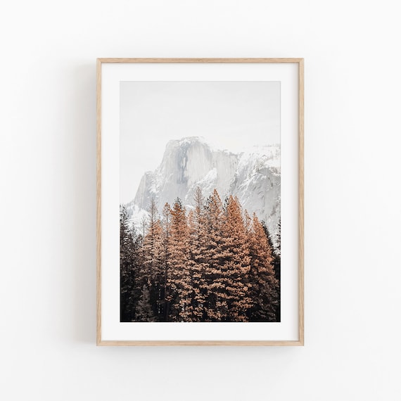 Mountain Pine Tree Minimalist Nature Art Print