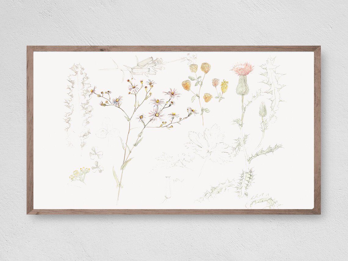 Instant Field Sketch Book Wall Art Print