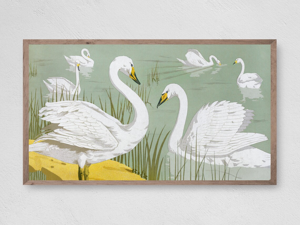 Vintage Swan Bird Art Print for Frame TV