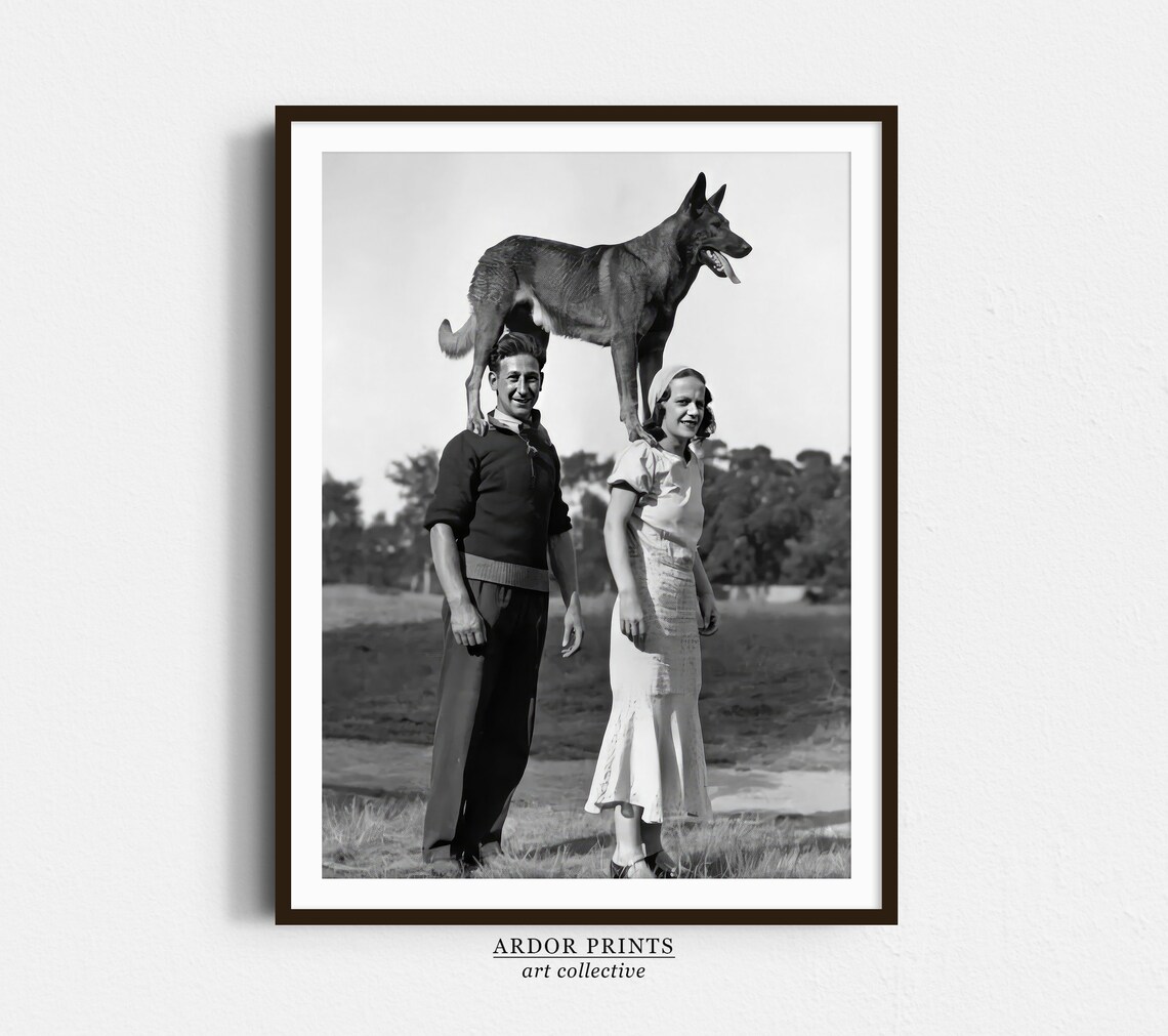 Dog Balancing on Couple Vintage Black and White Circus Trick Poster