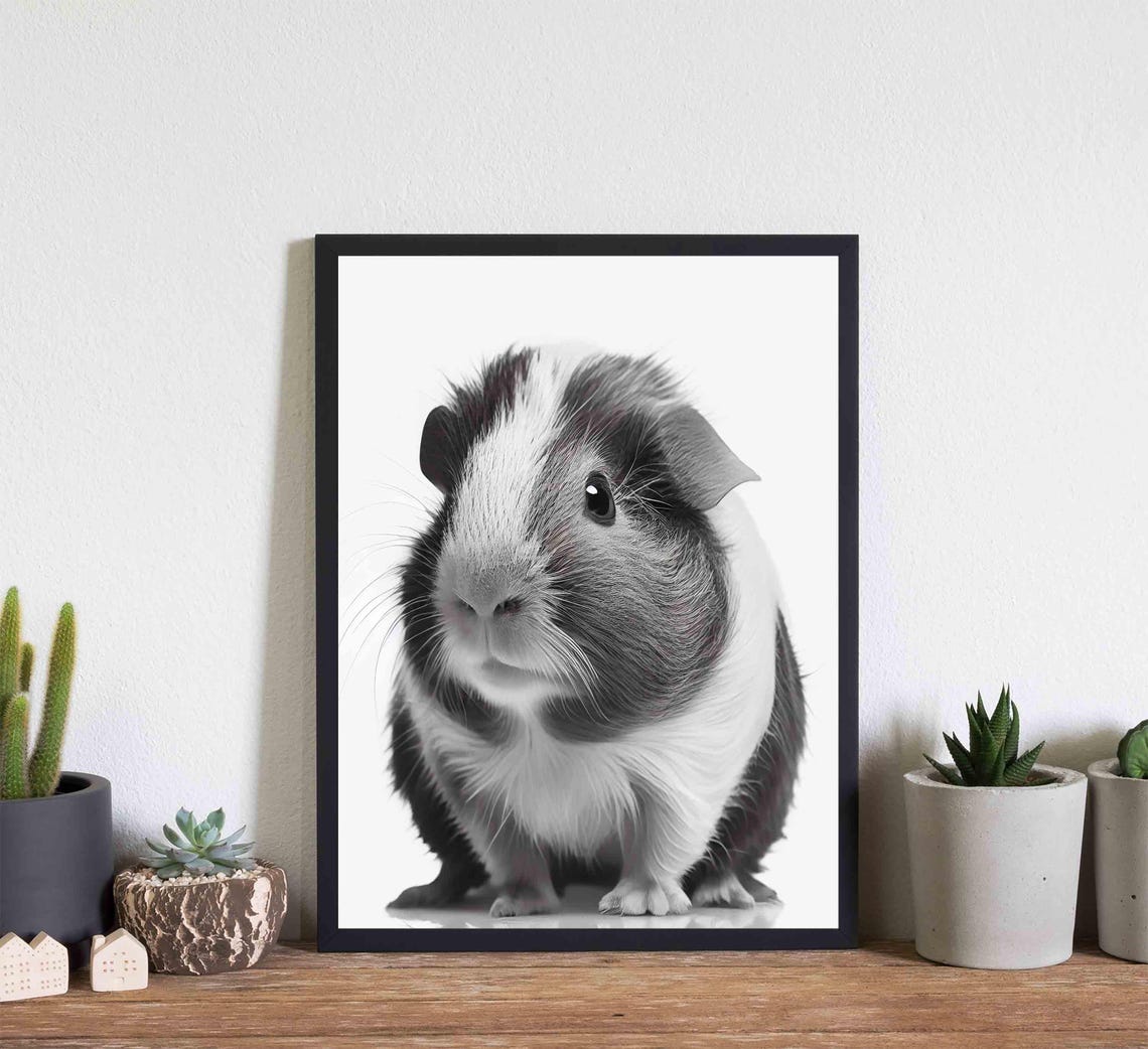 Guinea Pig Black and White Cute Small Pet Close Up Portrait Poster - Image 2
