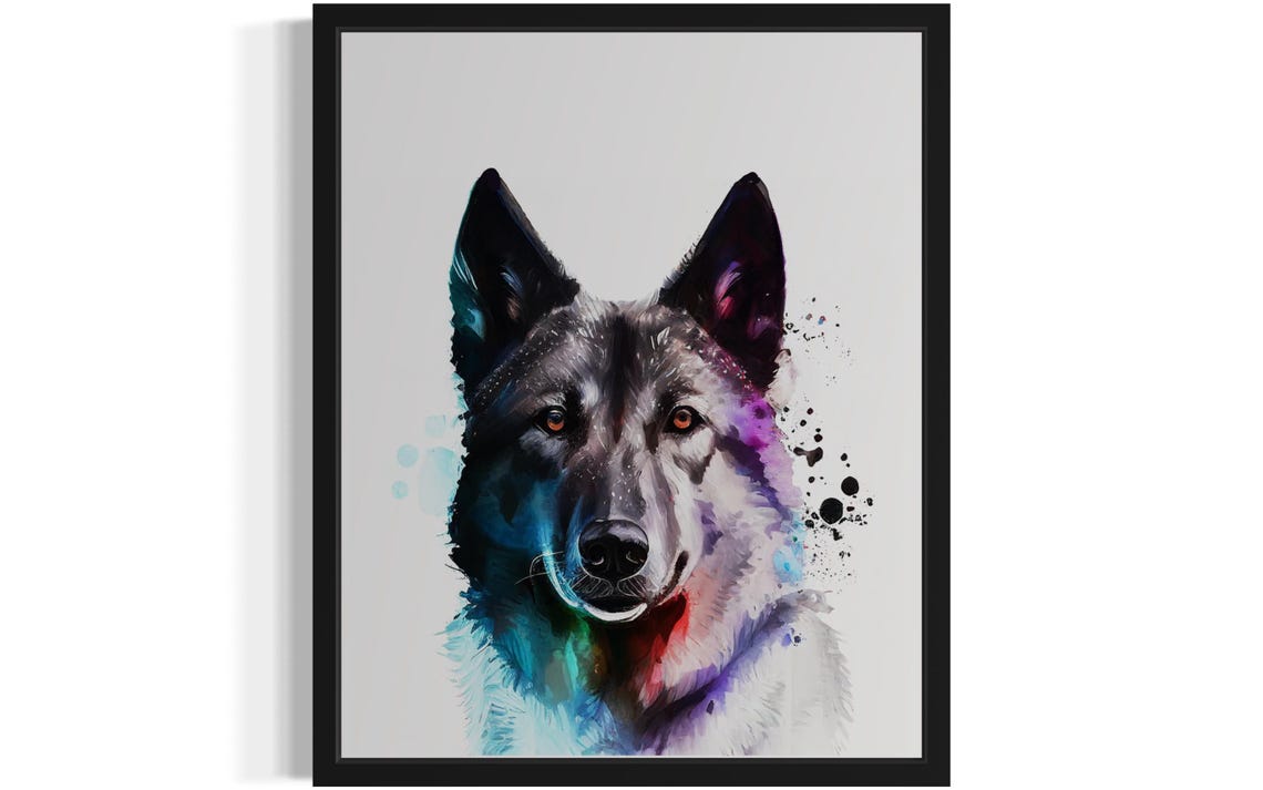 Norwegian Elkhound Dark Coat Colorful Watercolor Portrait Poster