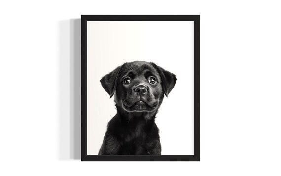 Sweet Black Labrador Puppy Portrait Minimalist Black and White Wall Poster