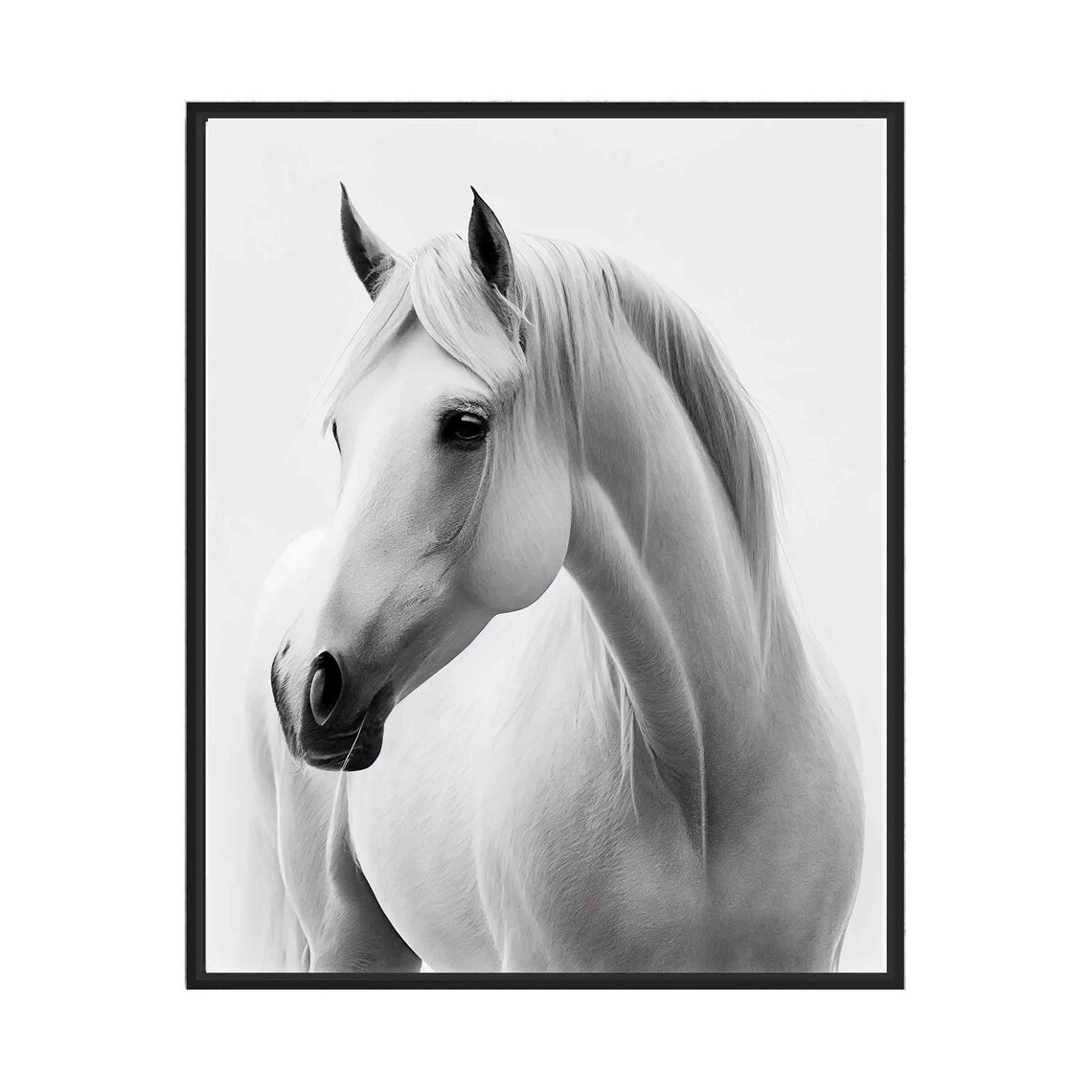Elegant White Horse Profile Portrait in Black and White Art Poster