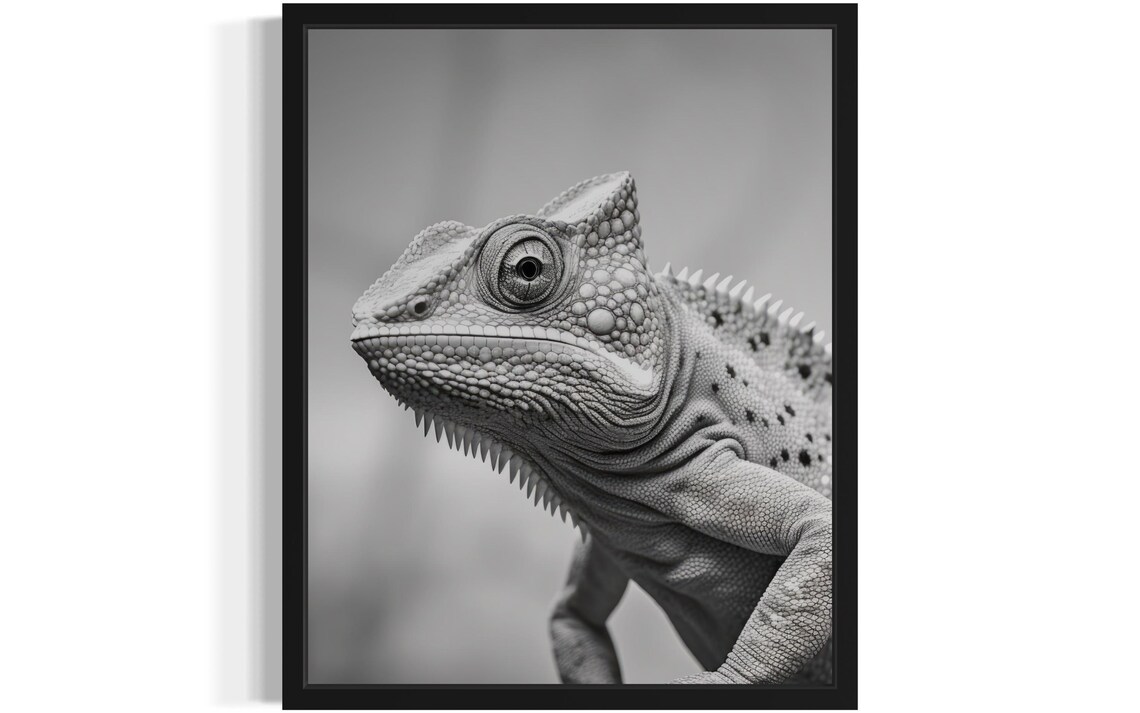 Chameleon Close Up Portrait In Black And White Photo Style Poster