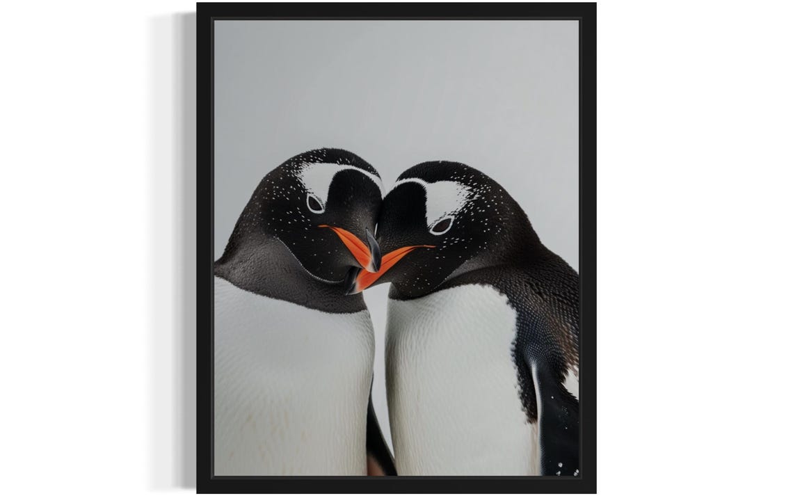 Gentoo Penguin Couple Touching Beaks Tender Wildlife Photo Poster