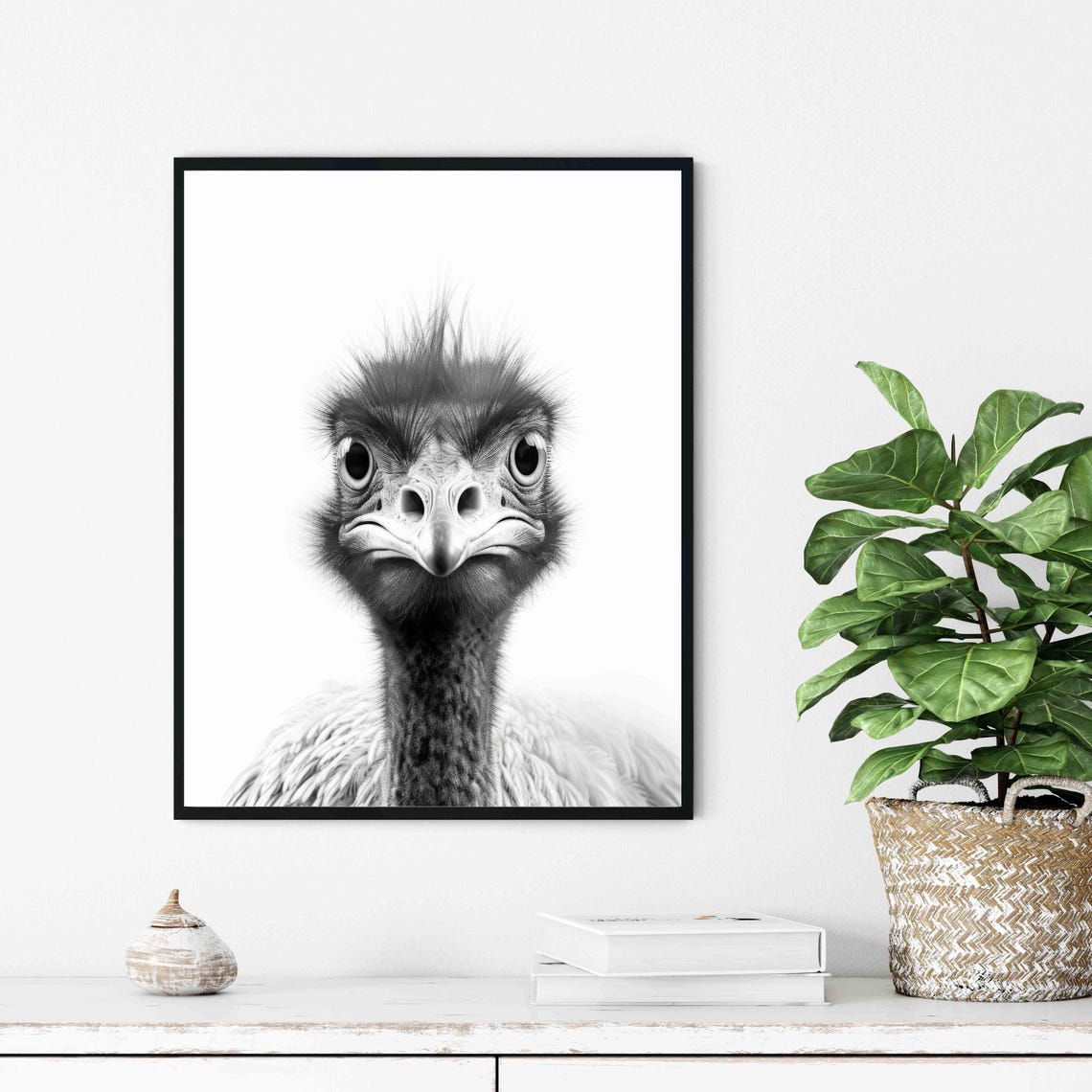 Goofy Wide-Eyed Flightless Bird Face Close Up Black and White Poster - Image 3