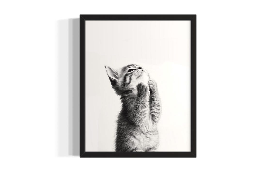 Cute Kitten Standing On Hind Legs Black And White Photo Poster