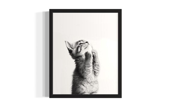 Cute Kitten Standing On Hind Legs Black And White Photo Poster