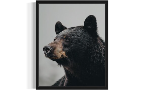 Black Bear Profile Close-Up Wildlife Photography Decor Poster