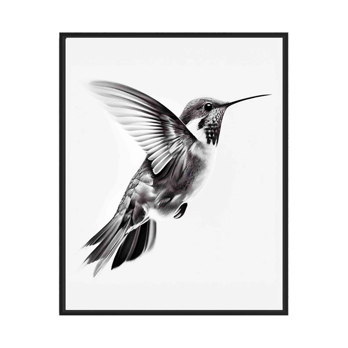 Graceful Hummingbird Hovering in Flight Black and White Art Poster