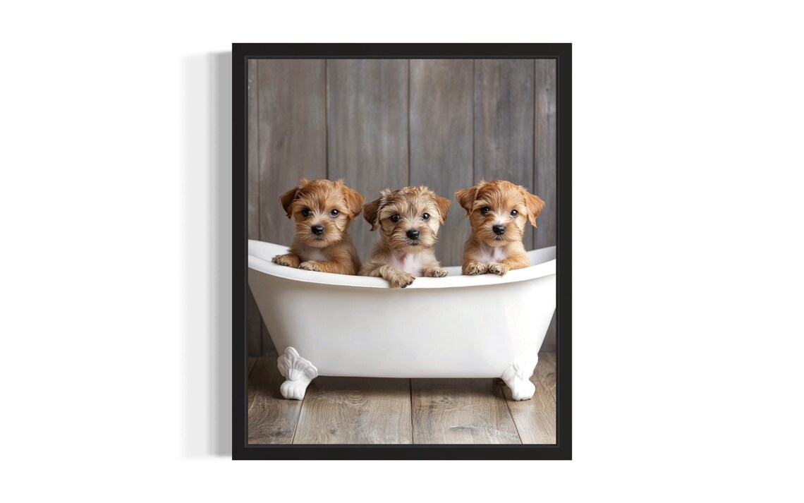 Norfolk Terrier Puppies In Bathtub Cute Tan Puppy Trio Poster