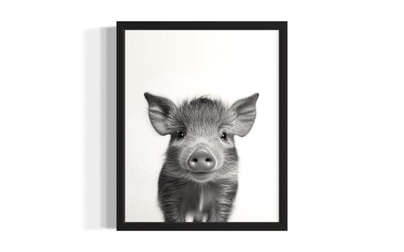 Sweet Baby Wild Boar Black and White Close Up Nursery Poster