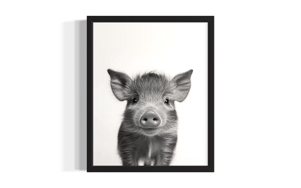 Sweet Baby Wild Boar Black and White Close Up Nursery Poster