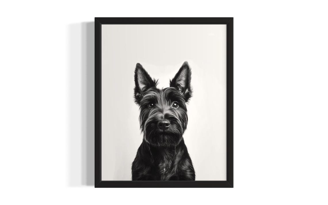 Scottish Terrier Puppy Portrait Minimalist Black and White Wall Poster