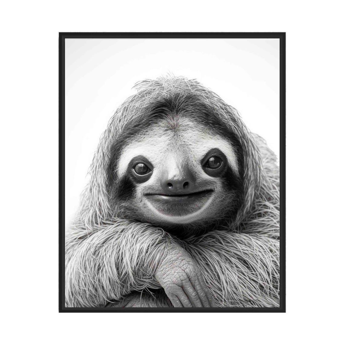 Sloth Black and White Smiling Cute Wild Animal Portrait Poster