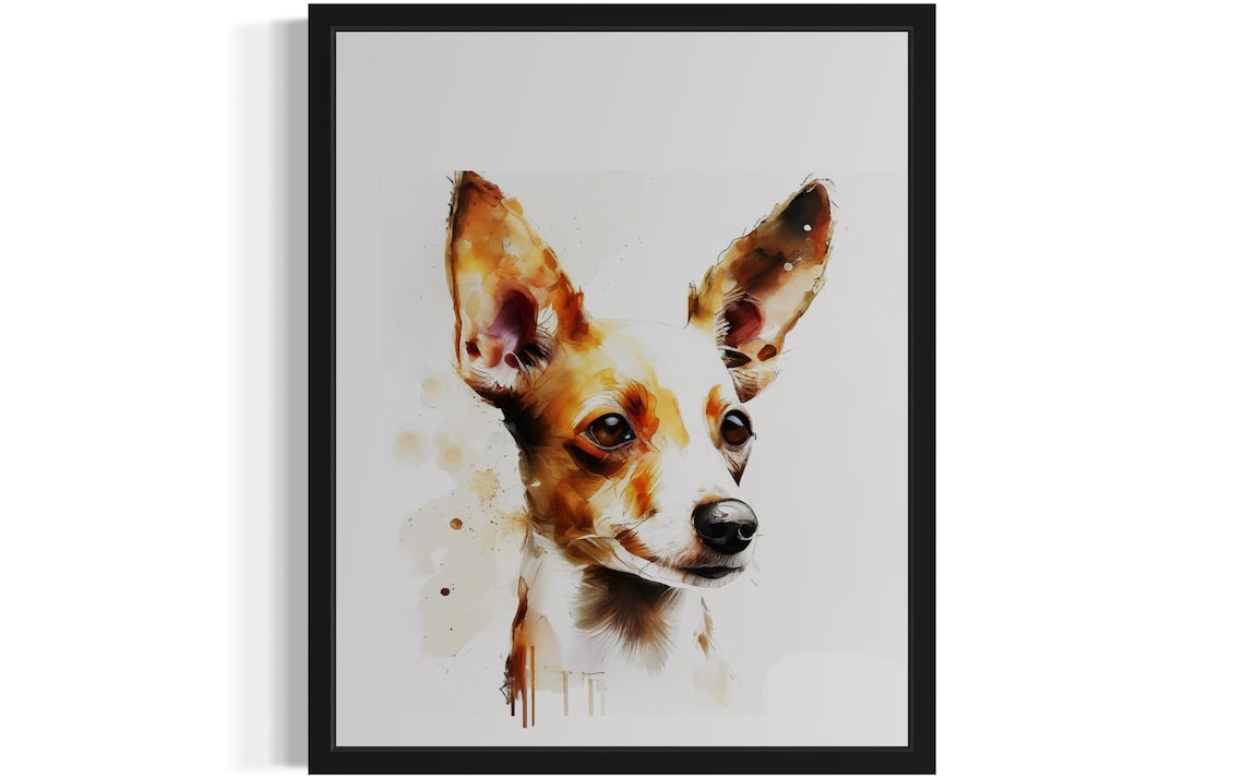 Podengo Pequeno Big Eared Dog Golden Watercolor Portrait Poster