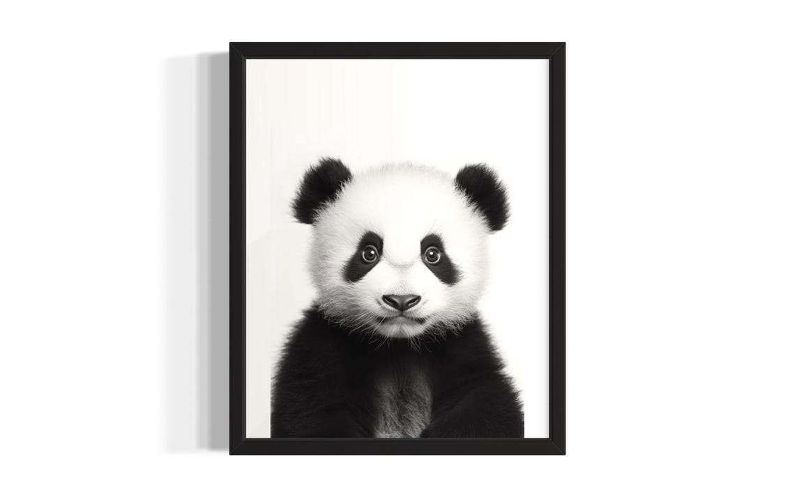 Baby Panda Portrait Black And White Cute Wildlife Photo Poster