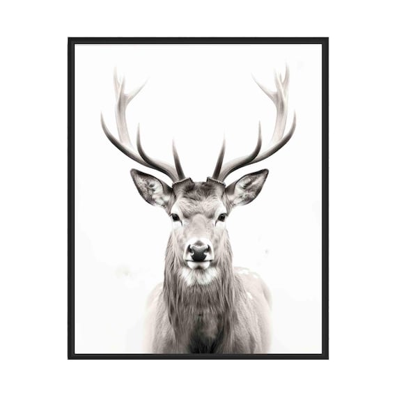 Stag Black and White Antlered Deer Front Portrait Minimalist Poster