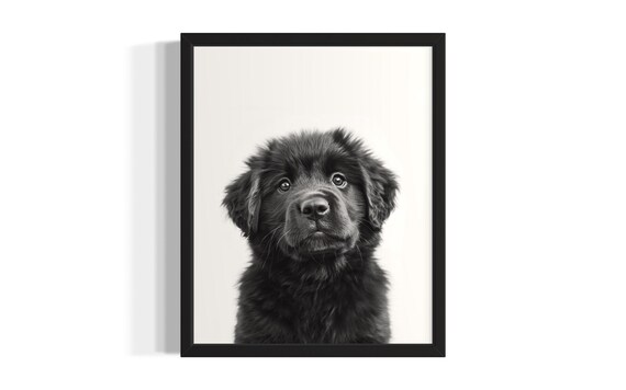Very Fluffy Black Puppy Portrait Minimalist Nursery Animal Poster